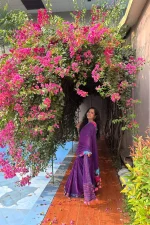 Purple Cotton Saree